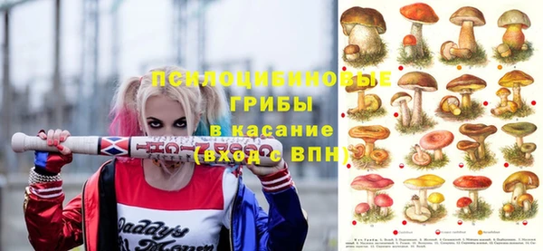 хмурый Алексеевка