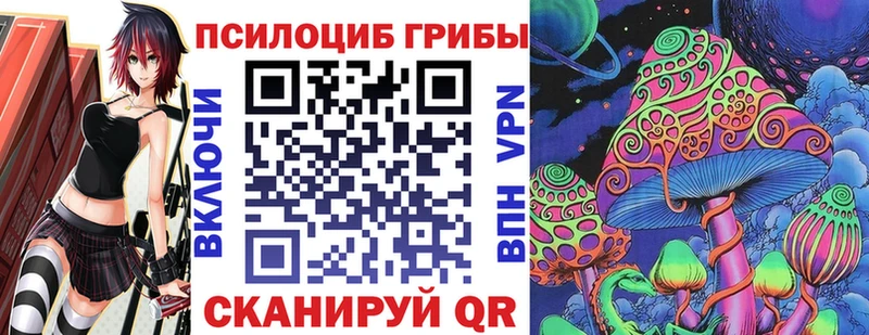 наркота  Кимры  Псилоцибиновые грибы мицелий 