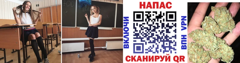 Конопля MAZAR  цены   Кимры 